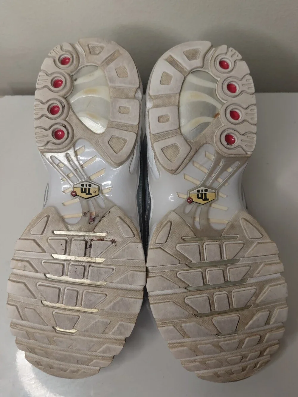 Nike Air Max Plus Kids White and Silver Mesh Sneakers Size 6